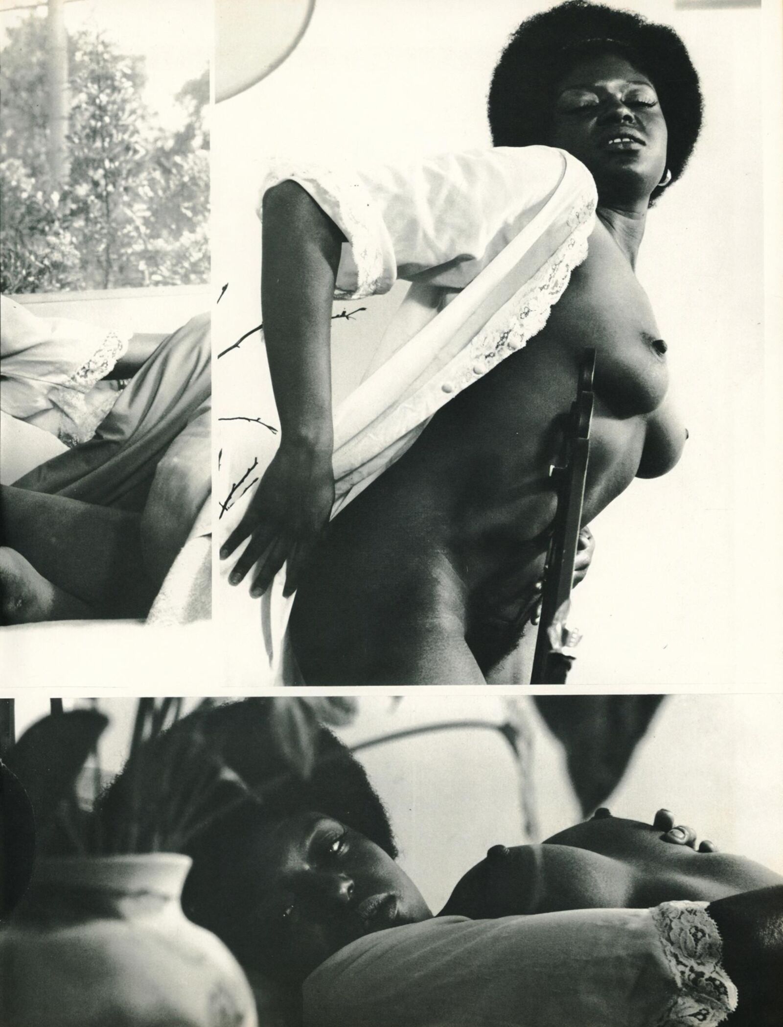 THEAU NOIR ()