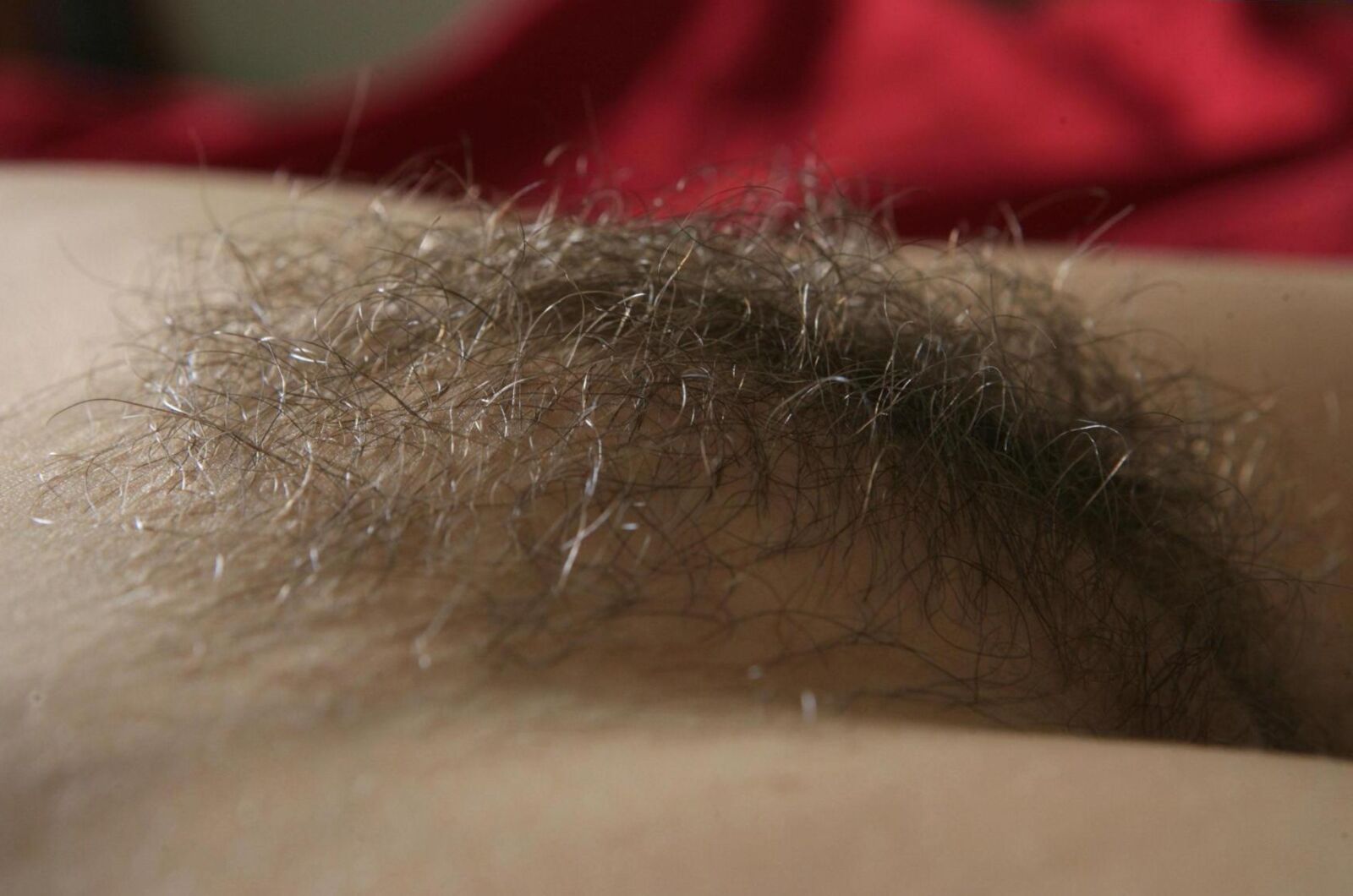 Teen Mit Kleinen Titten und Haariger Fotze