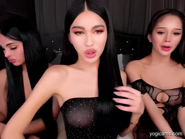 Melhor do trans amador trans
