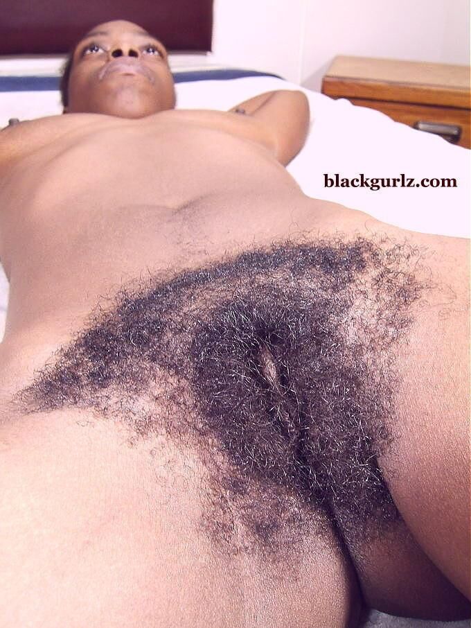 Cooter Bush