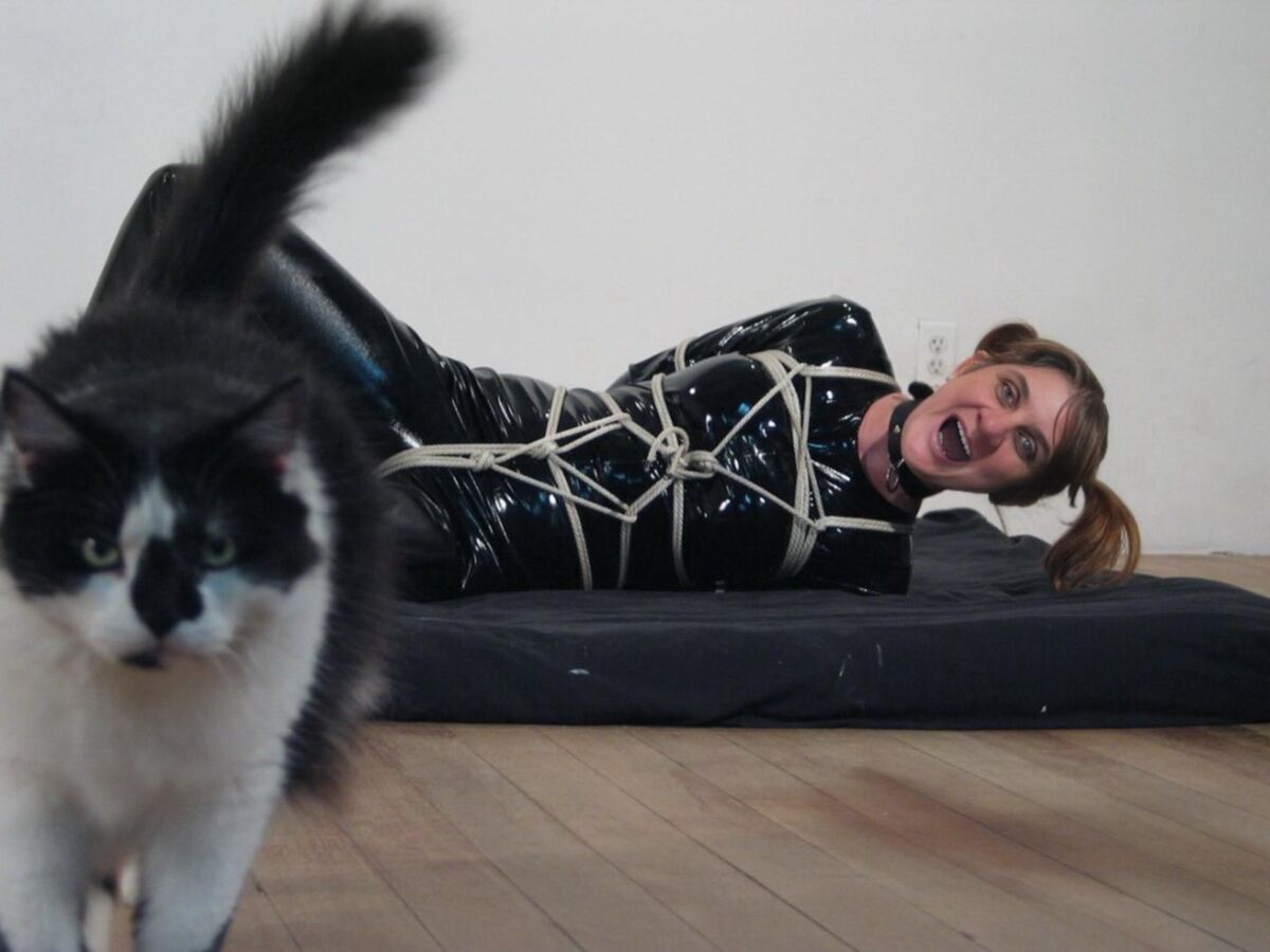 The Day I Was Tied Up and Left with My Cat