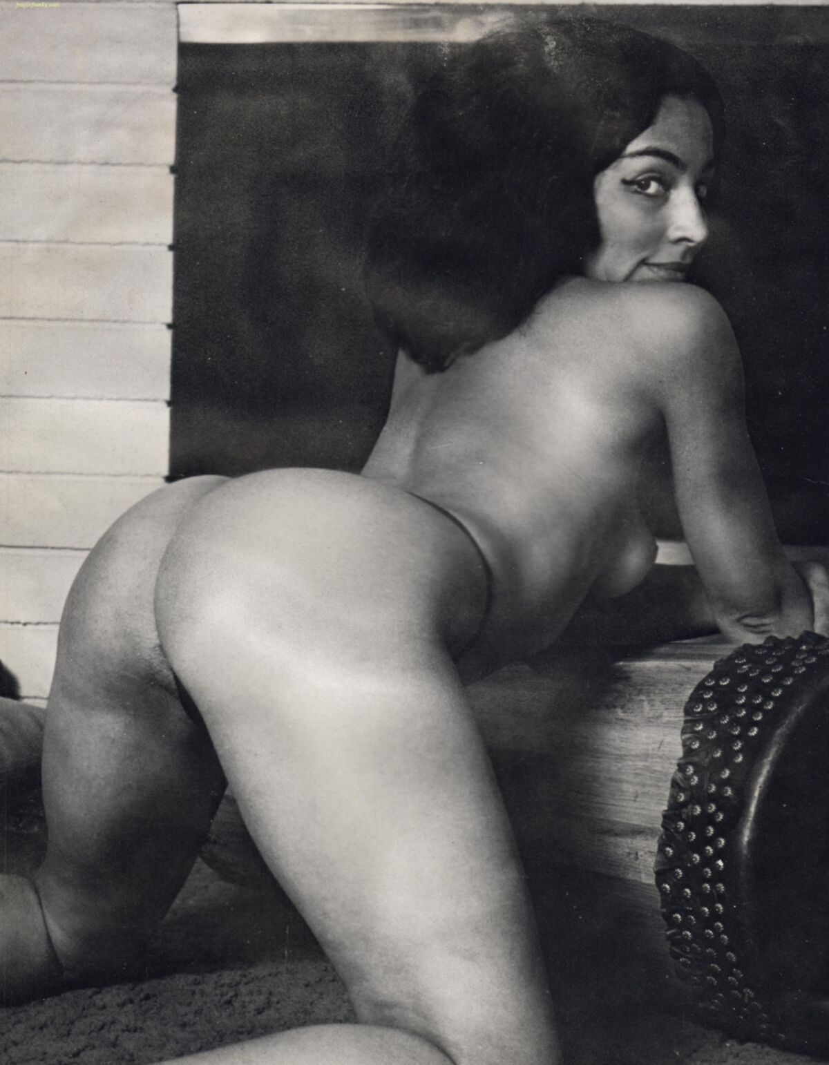 Vibracolor: ¡Asses asombrosos de la S!