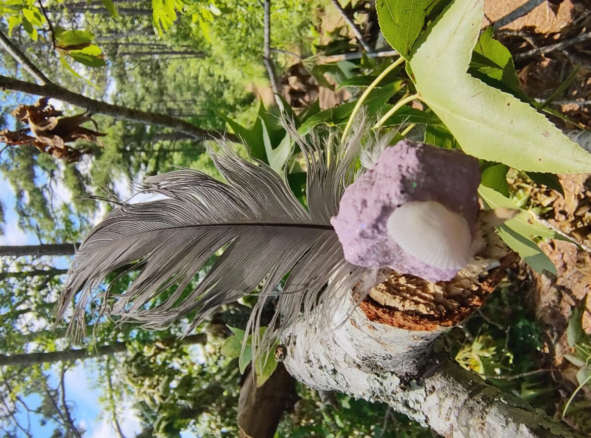 Na floresta.