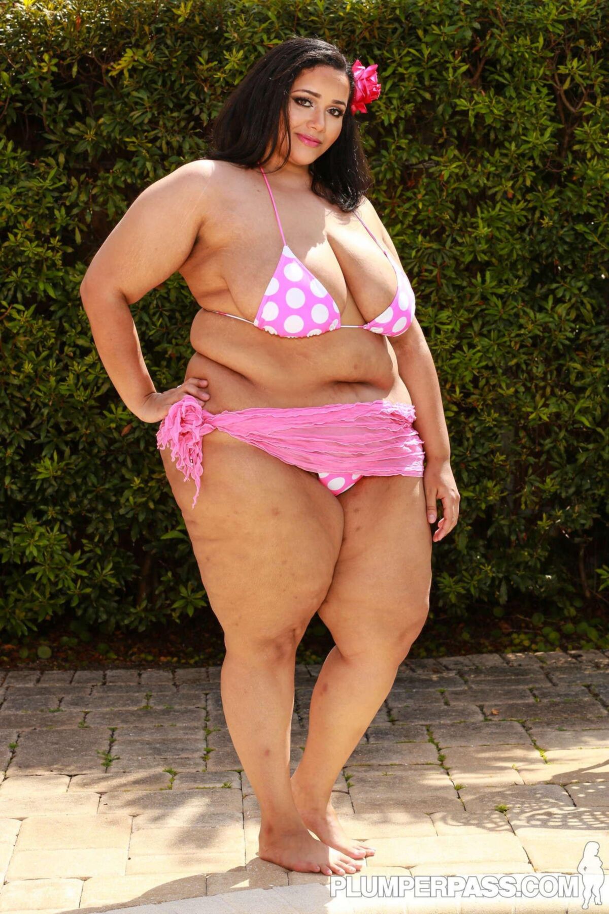 Hott y sexy Big Big Beautiful Women