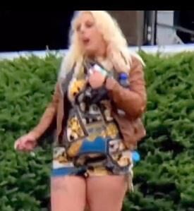WA Seattle Blondie Street Walker de FB
