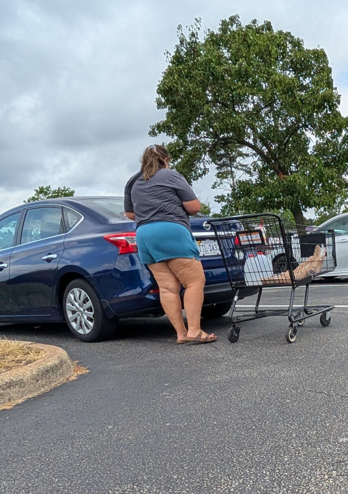 Compras para compradores