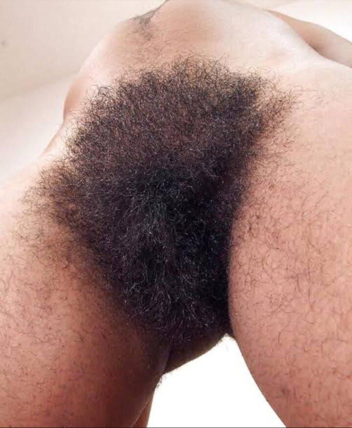 Cooter Bush