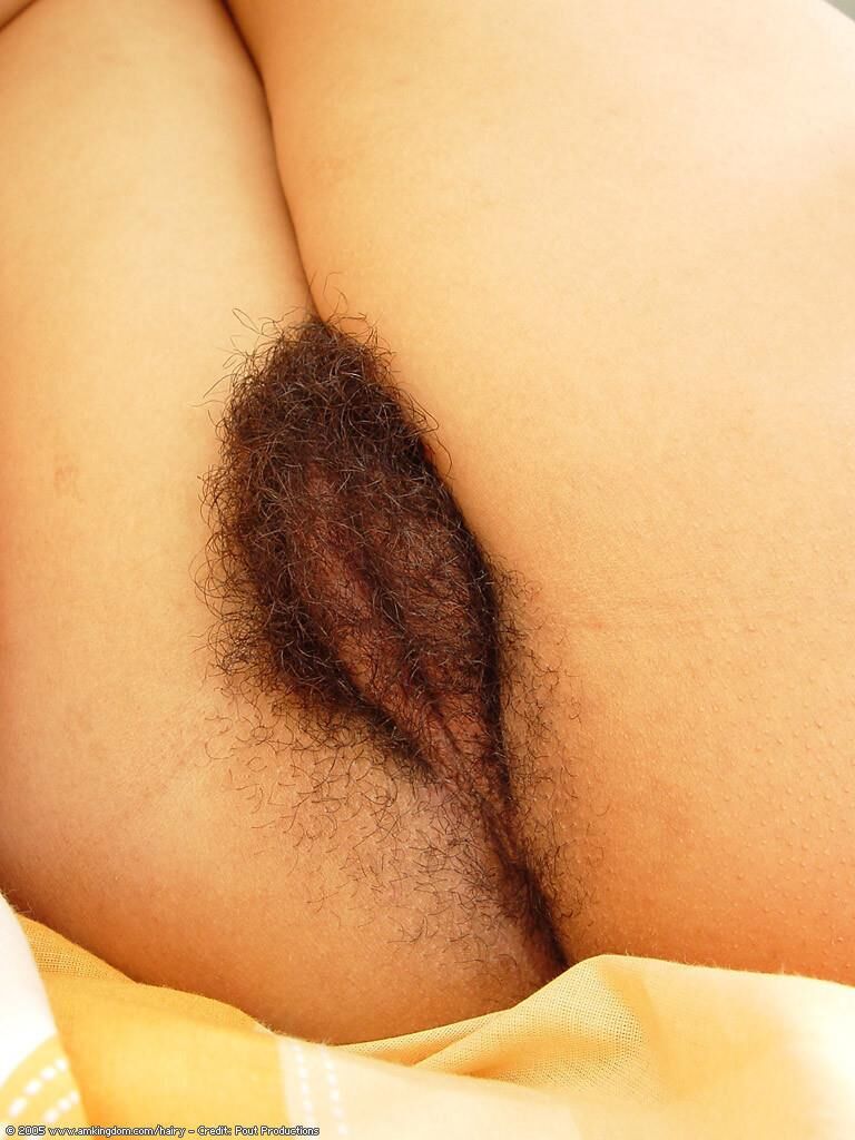 Furbure