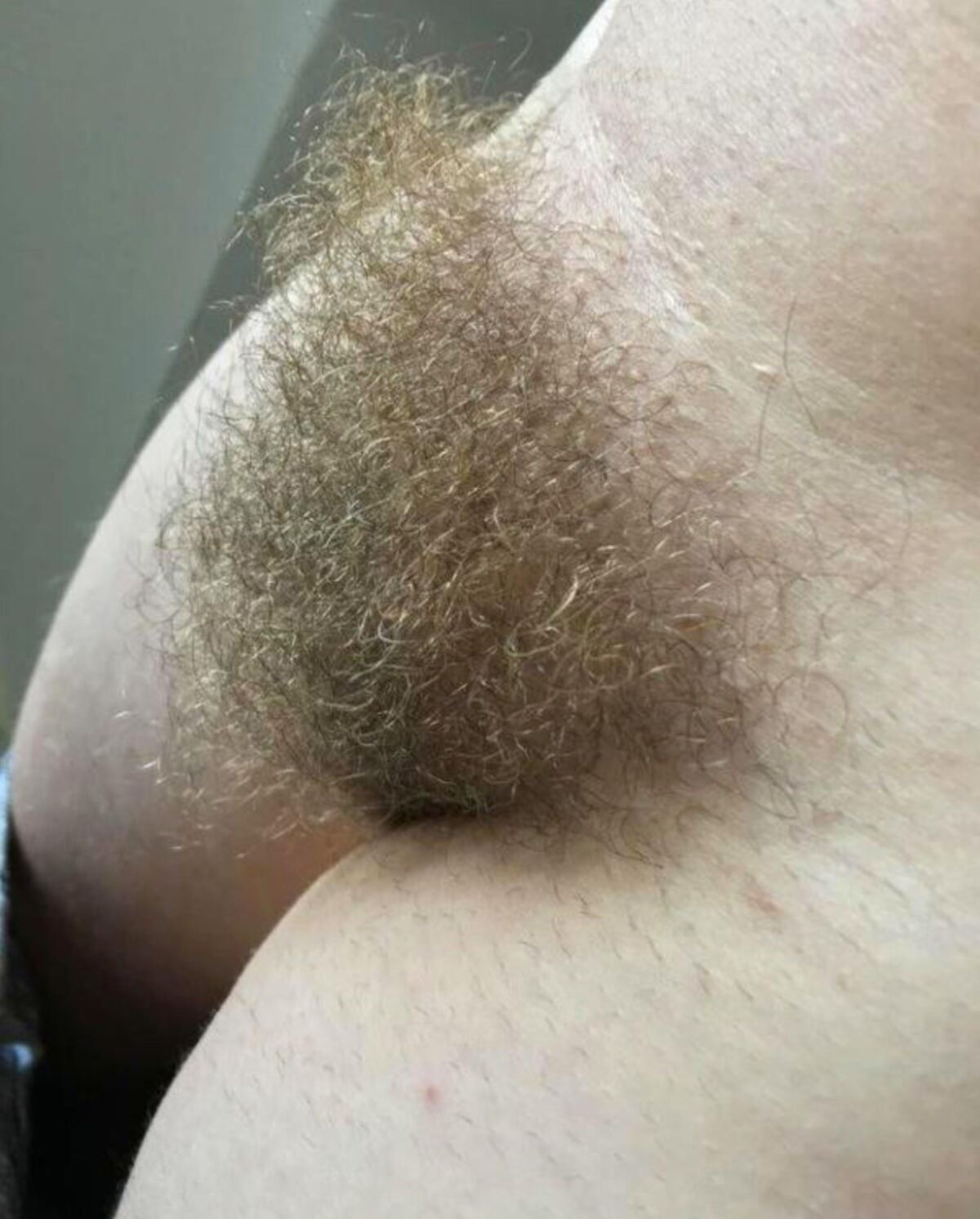 Más arbusto más cooter extendido