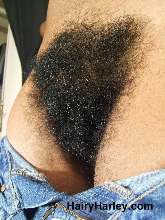 Cooter Bush