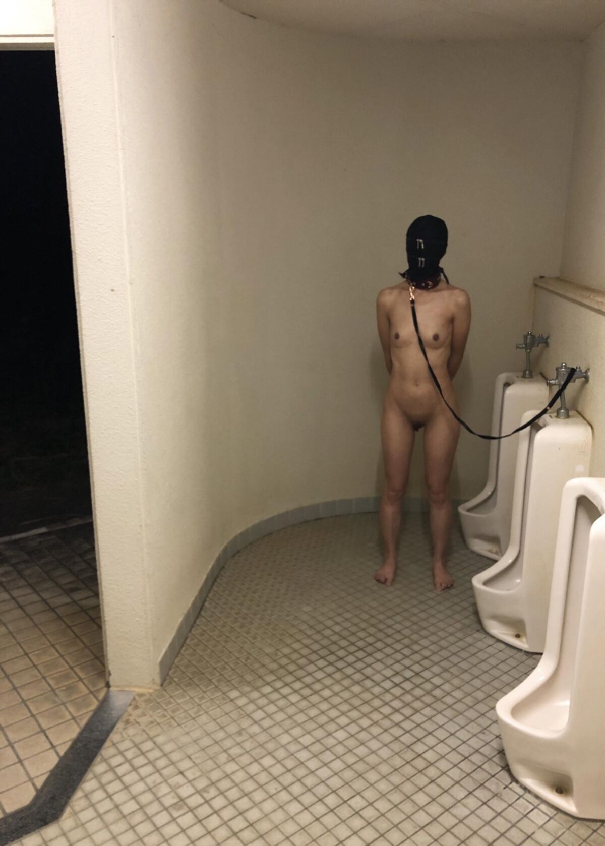 Обученные домашние животные