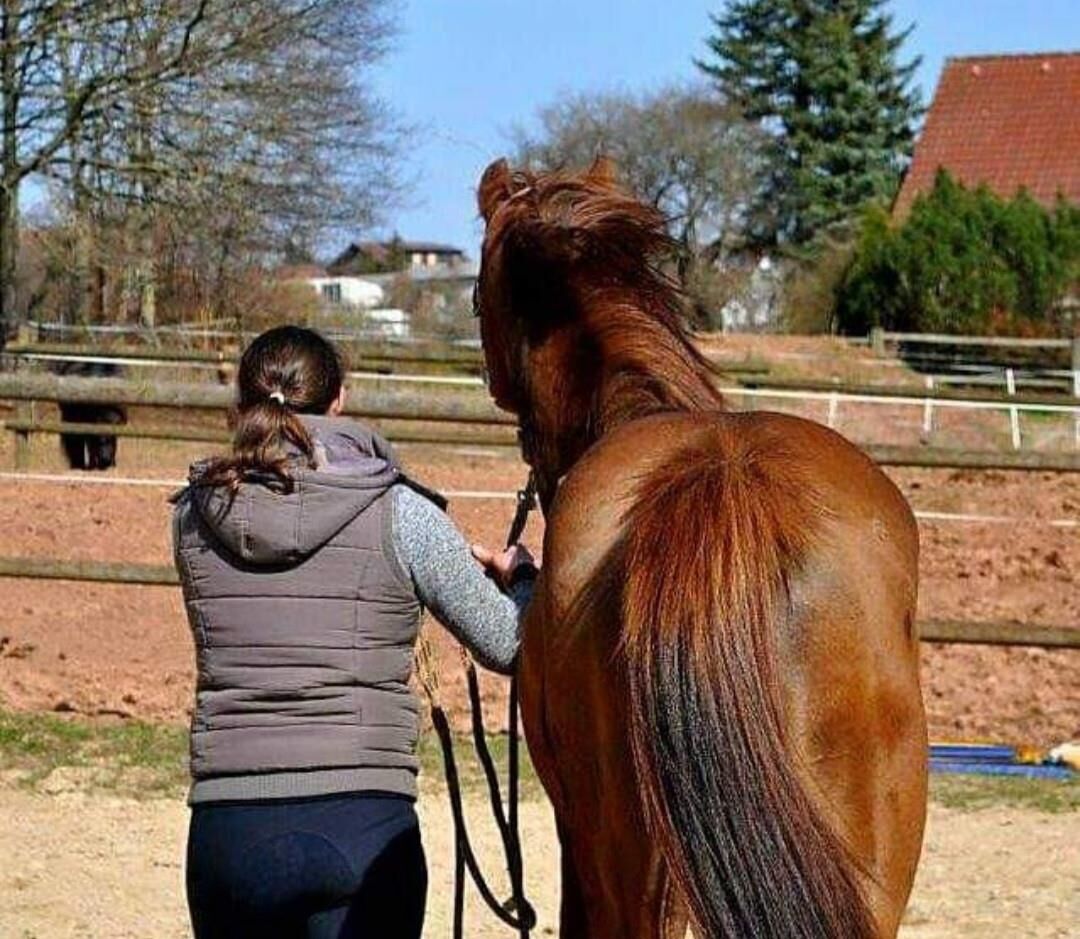 sluts and their animals