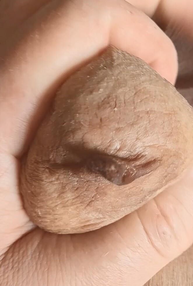 Durante la negociación de precios con una puta crack, el juego de tit es gratis