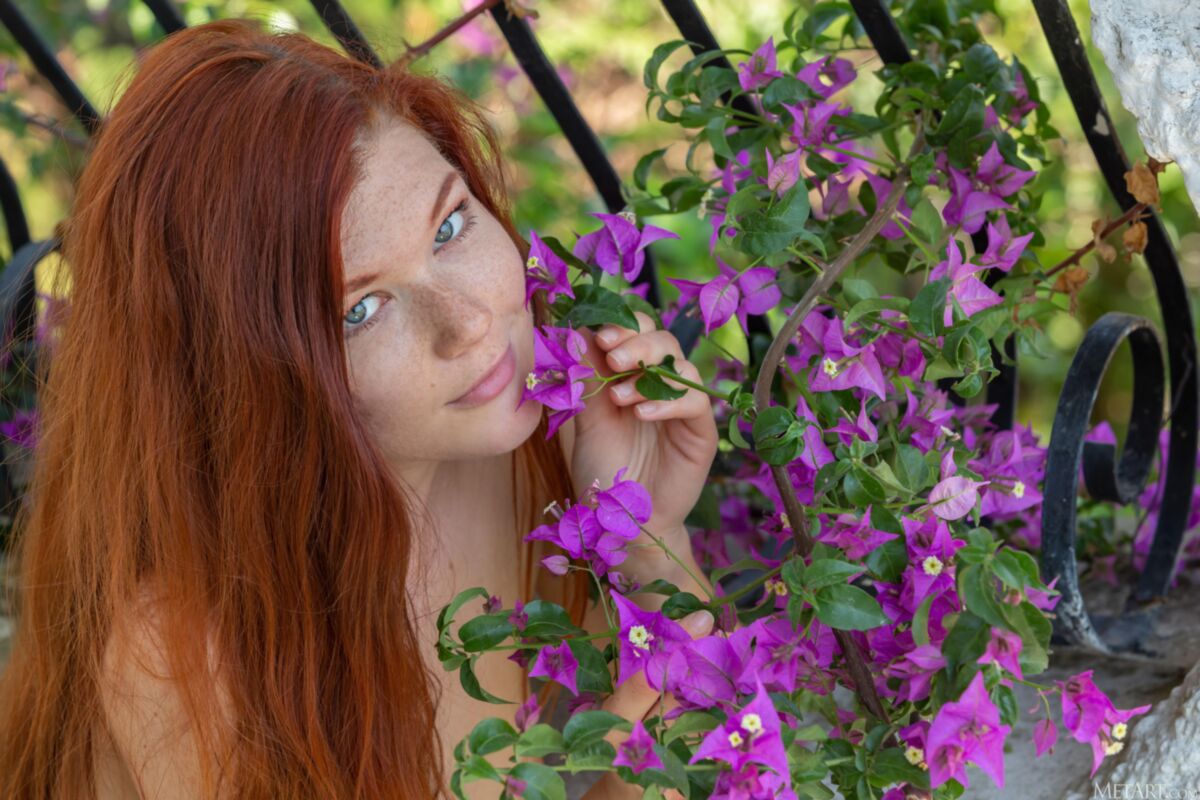 MIA Sollis Vol. 