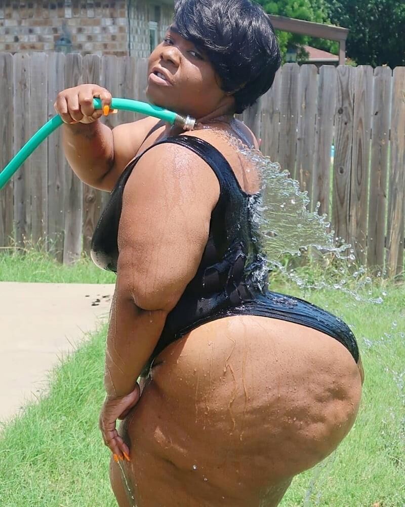 Big Phat Asses