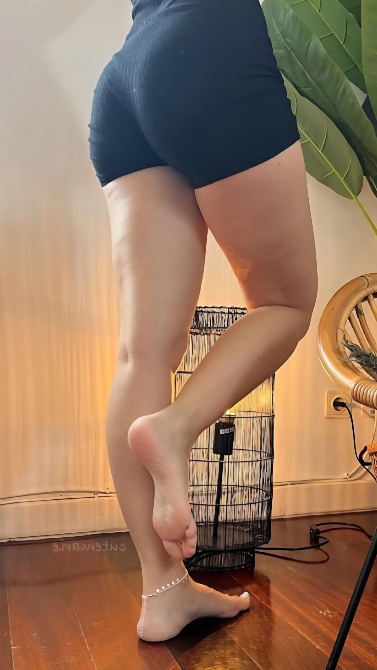 Piernas y pies