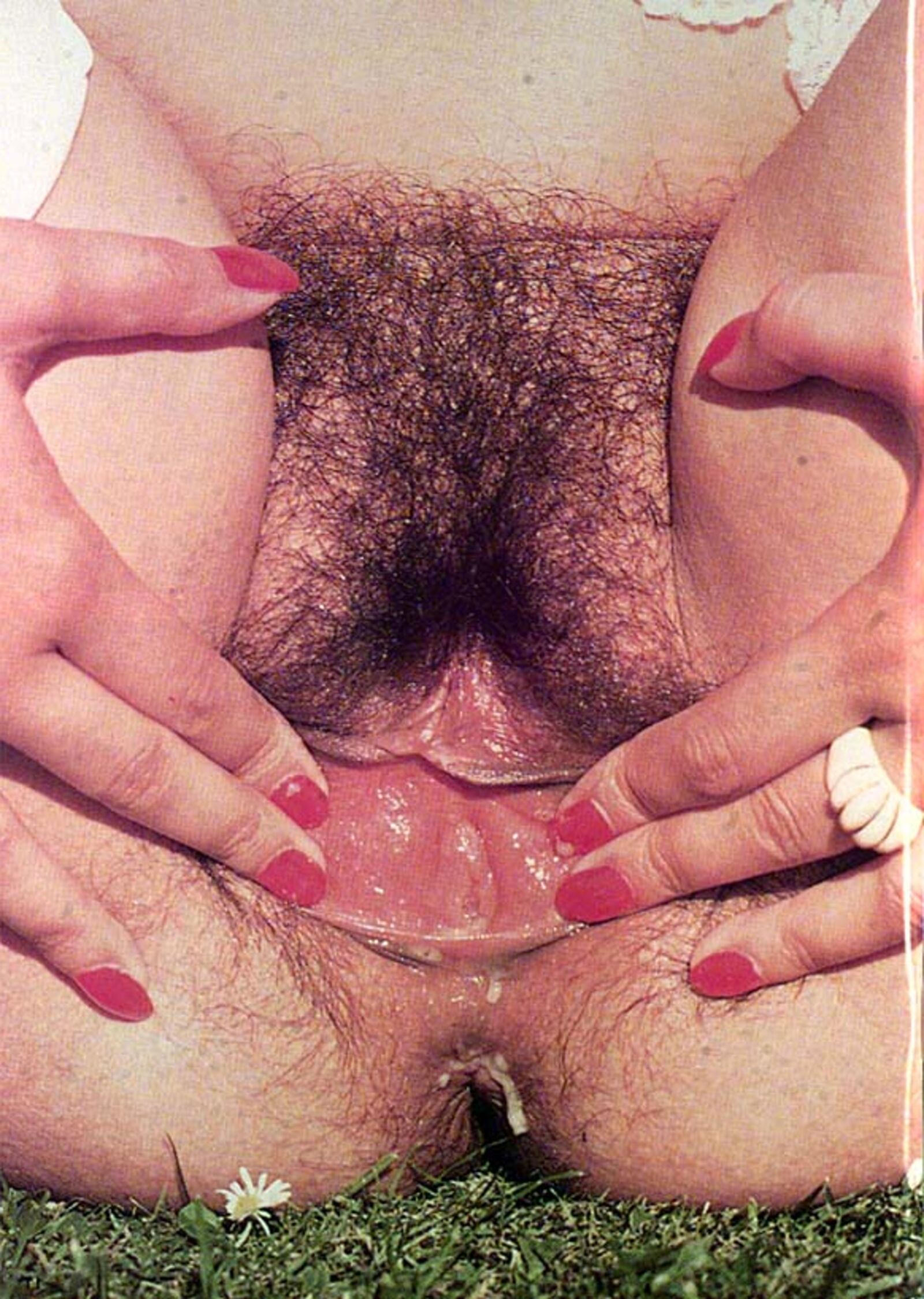 Privado