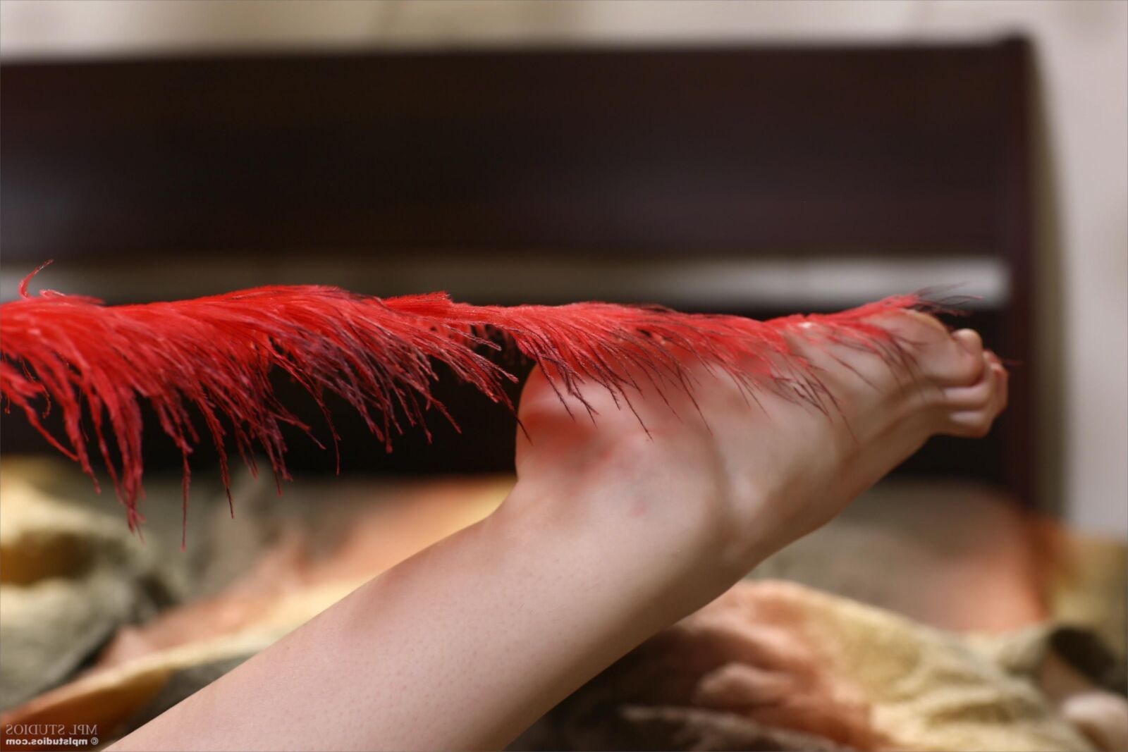 Eugenia Tantric feather