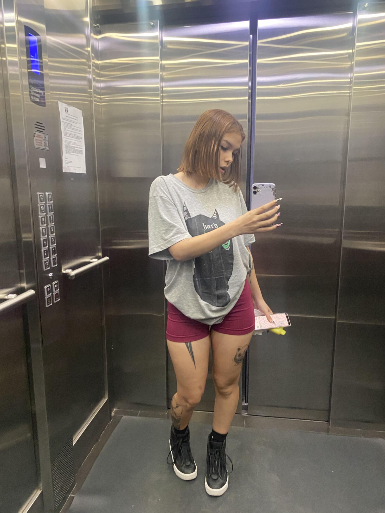 Faye, también conocido como el agridero