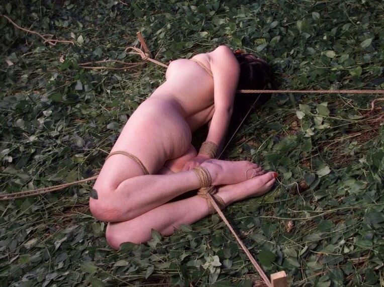 BDSM außerhalb und im Naturteil