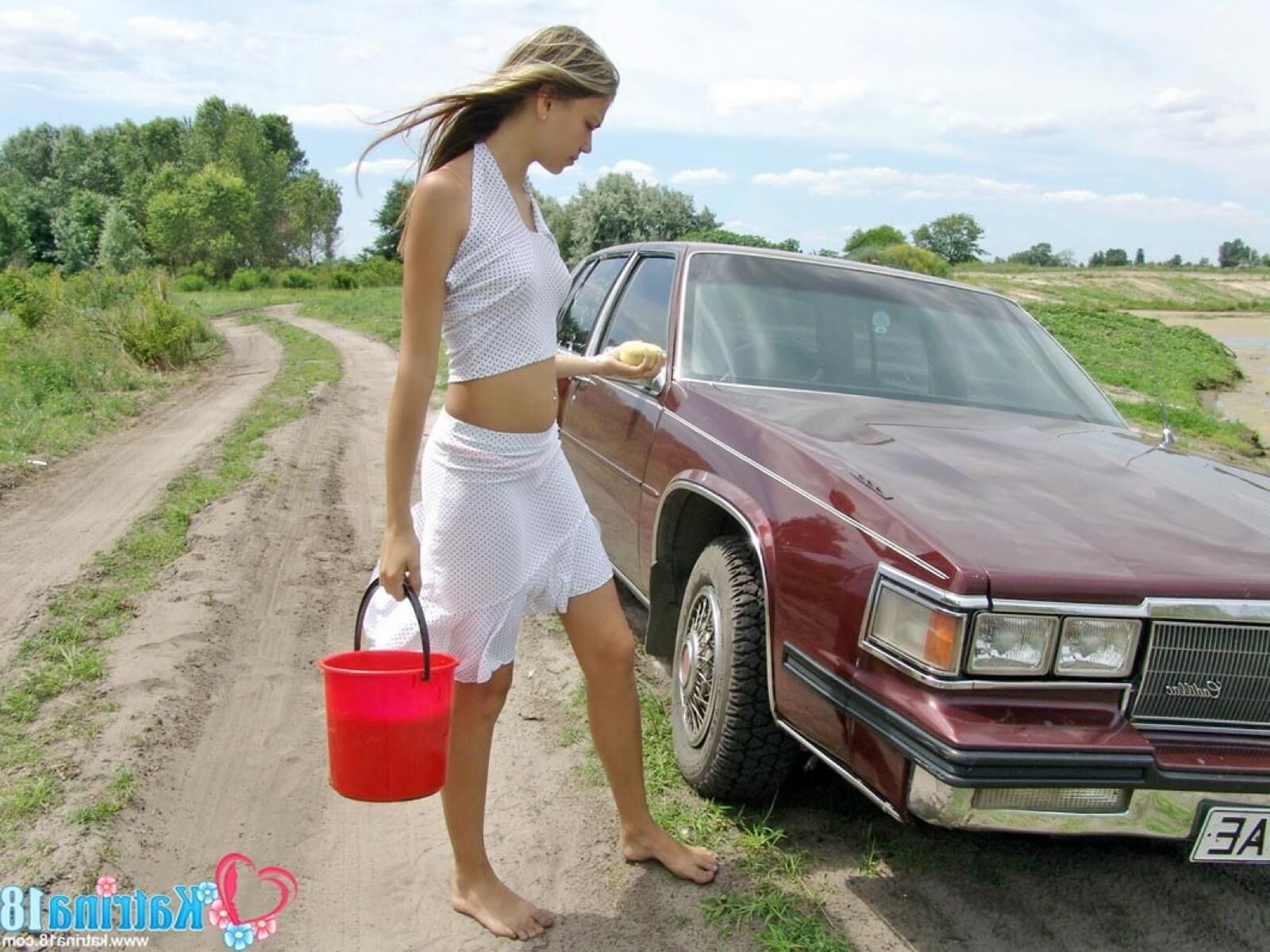 Катрина автомобильная мытья каперсы