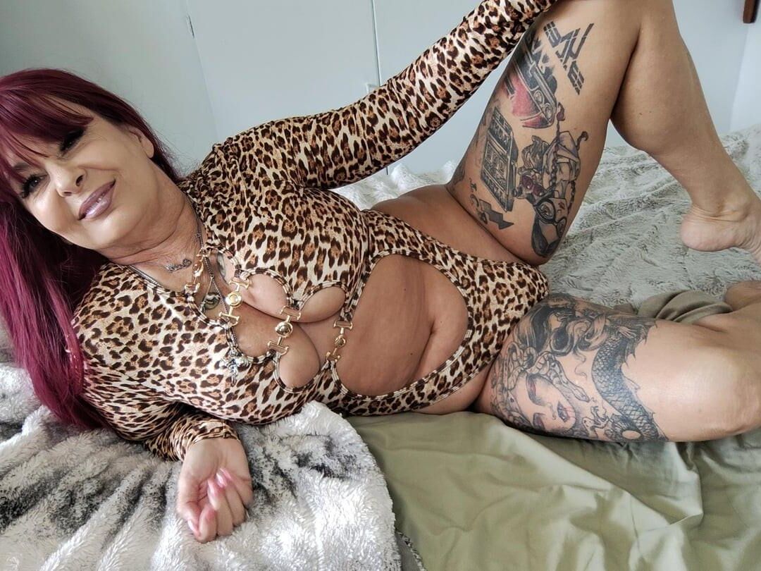 キャット