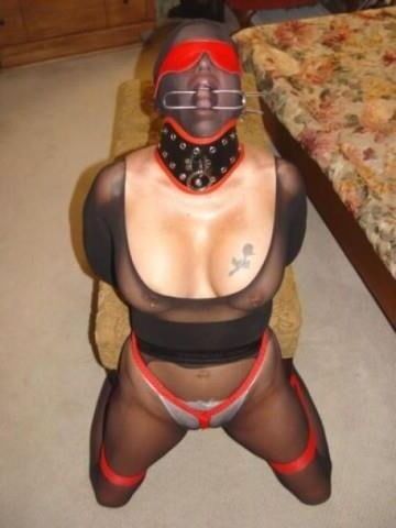 Salacious slavegirls Vol. 