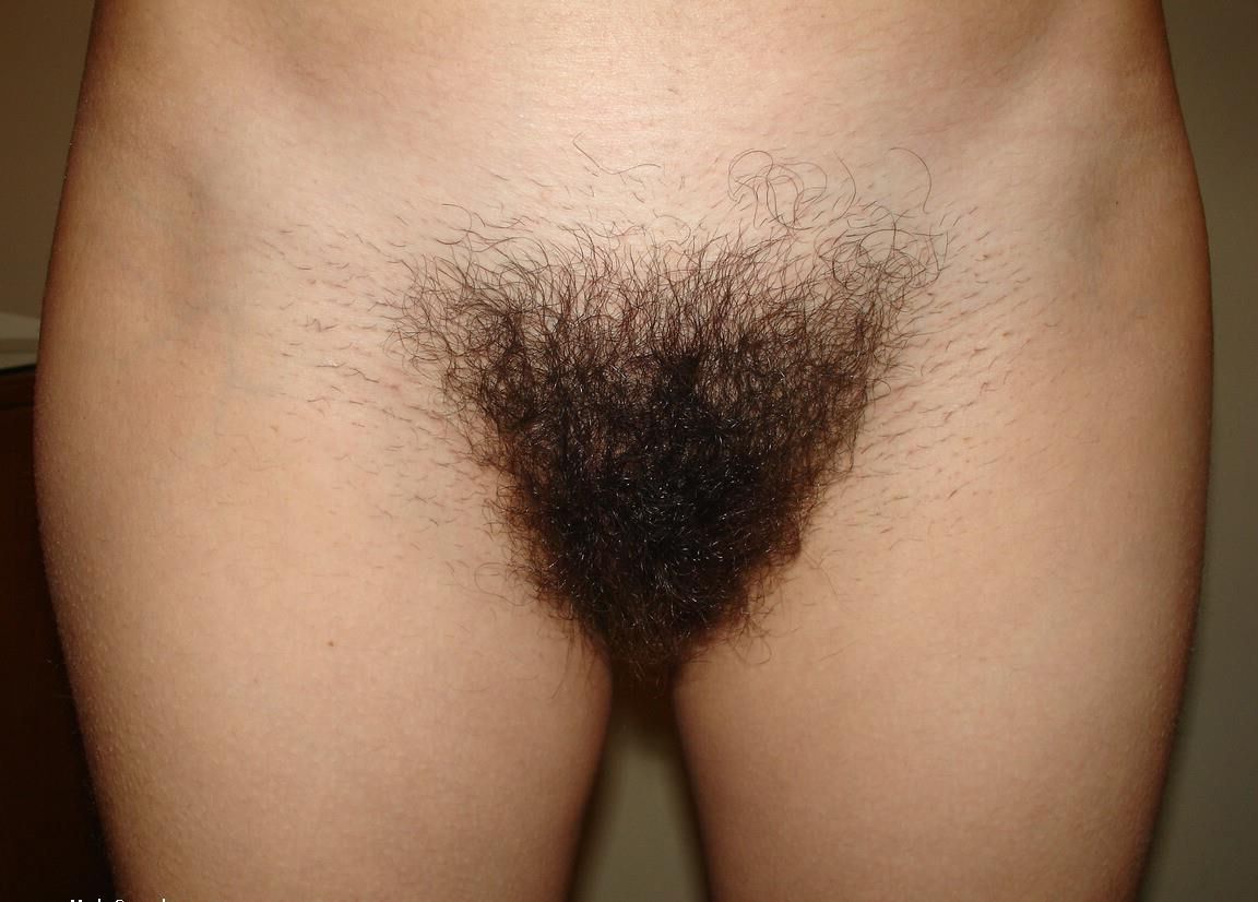 Hairy Pussy 