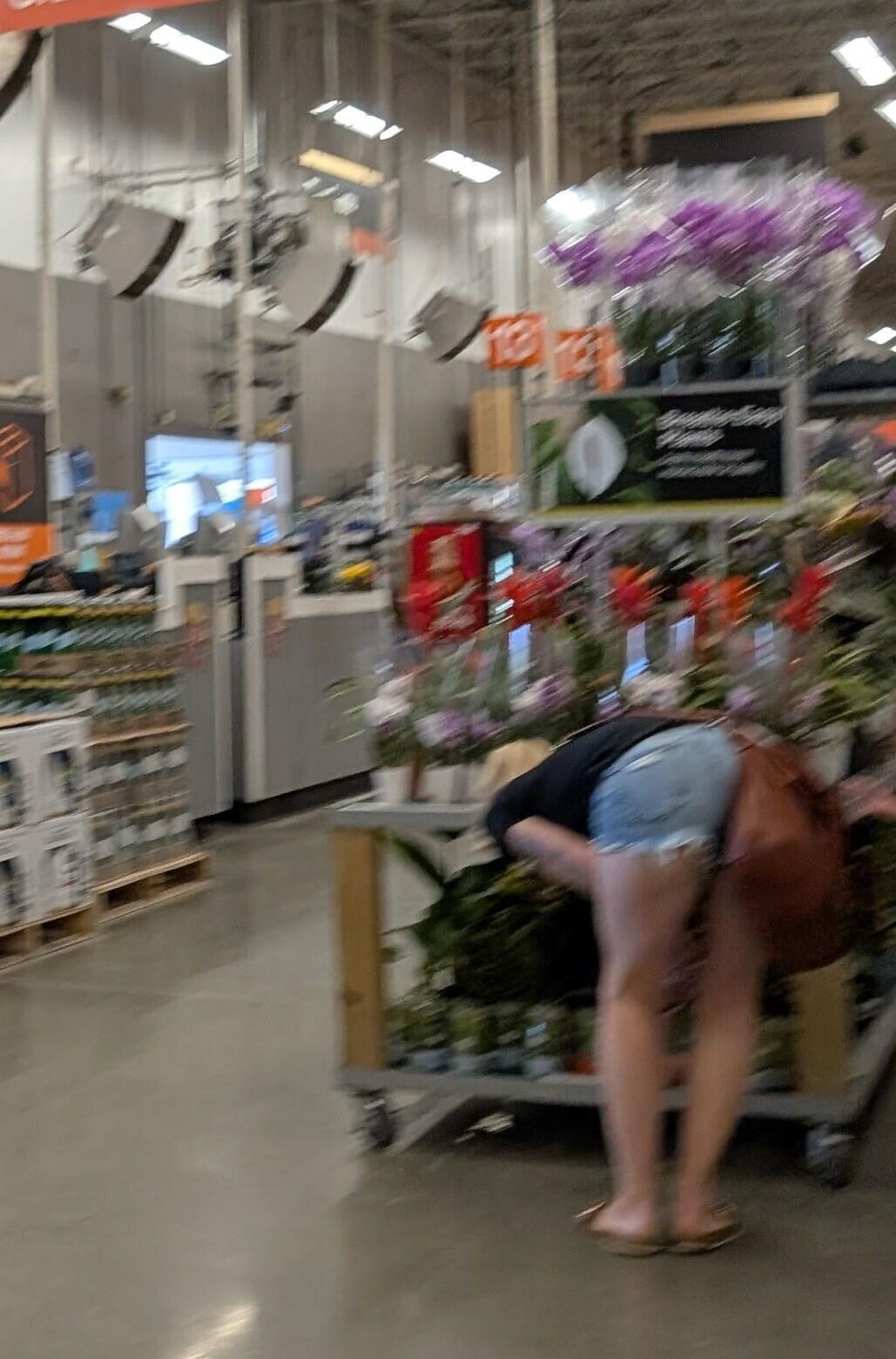 Shoppers 