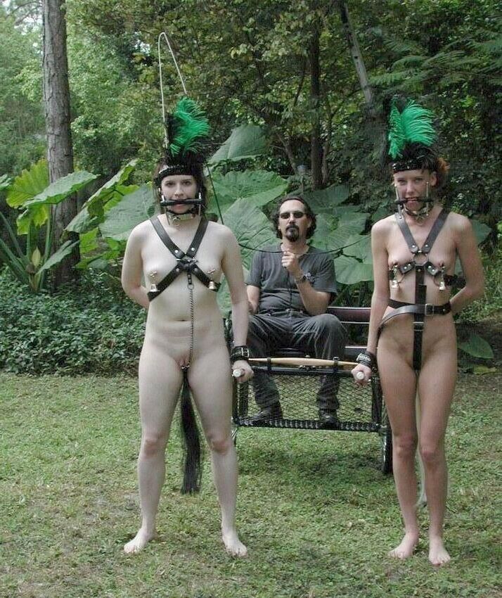 Bdsm