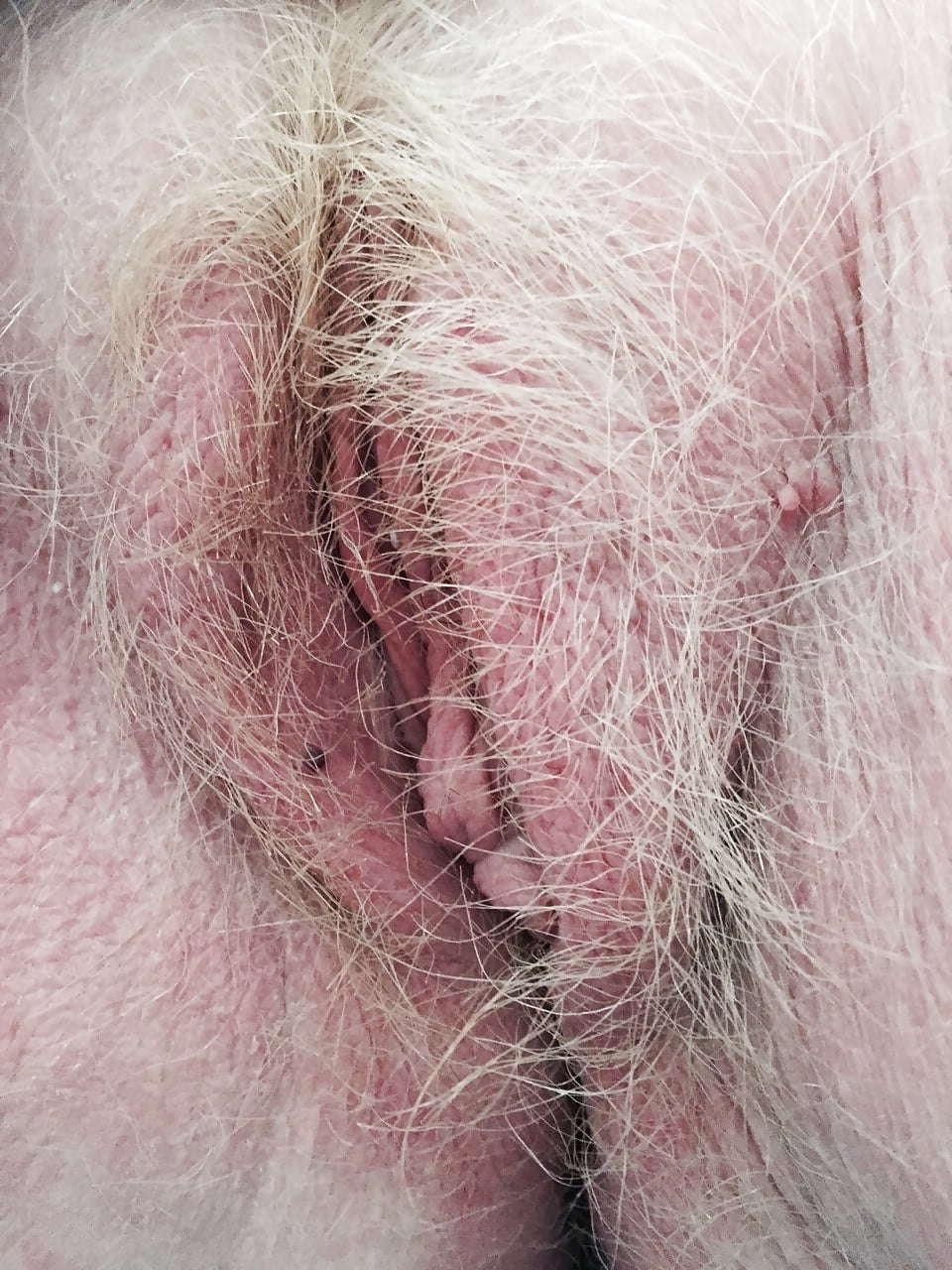 Grannies holes to smell, lick and fuck 