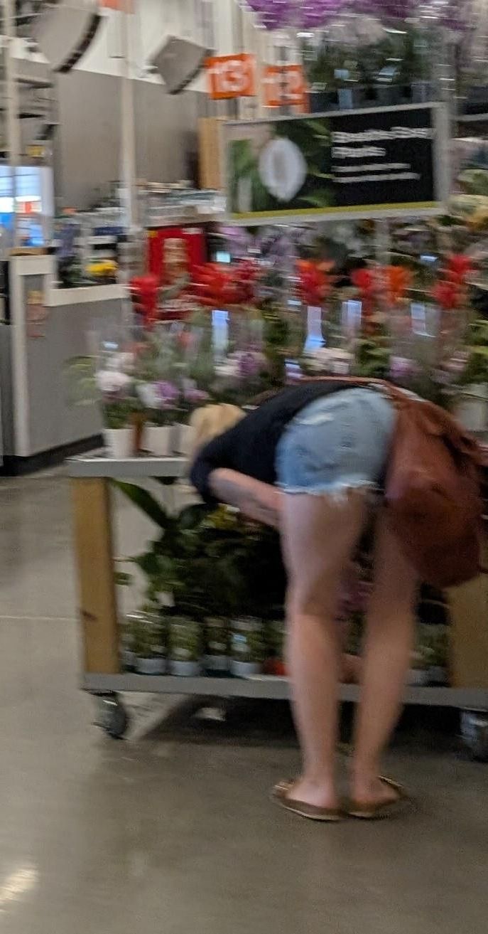 Shoppers 