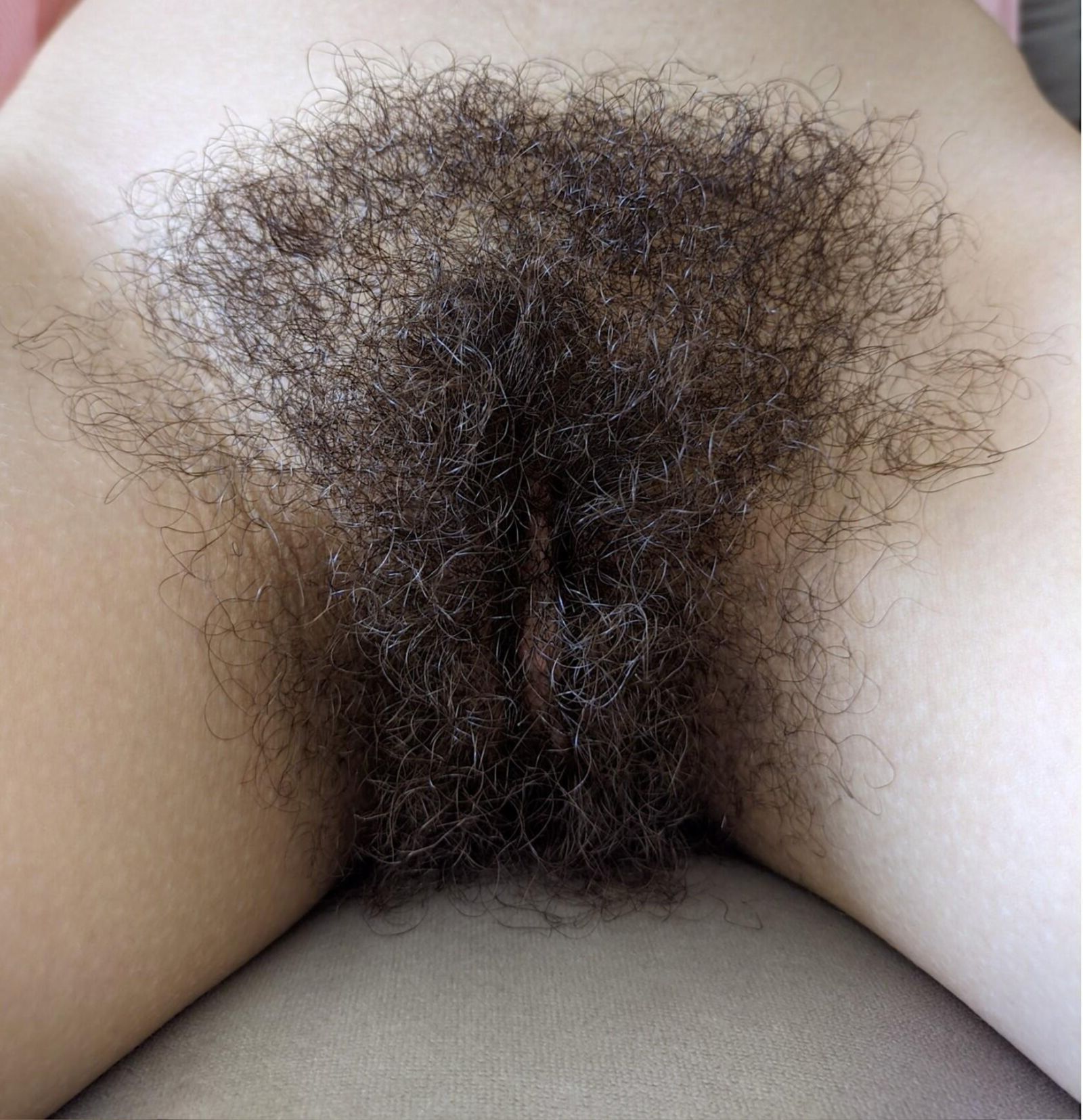 Hairy Pussy 