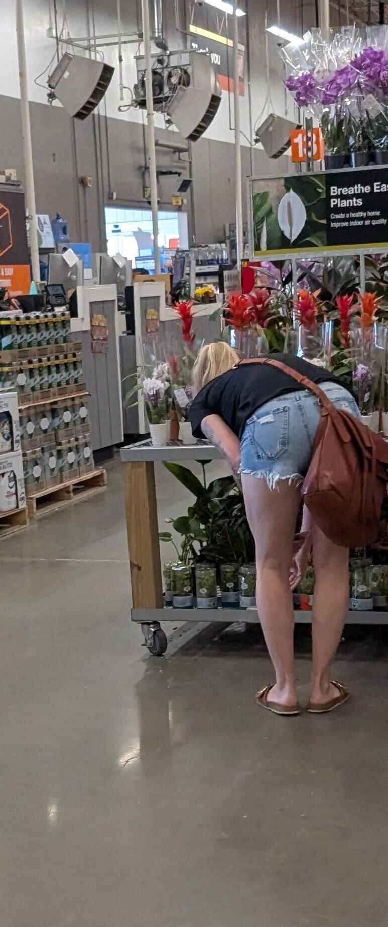 Shoppers 