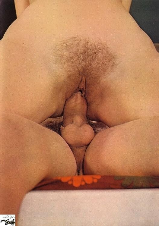 Porno especial