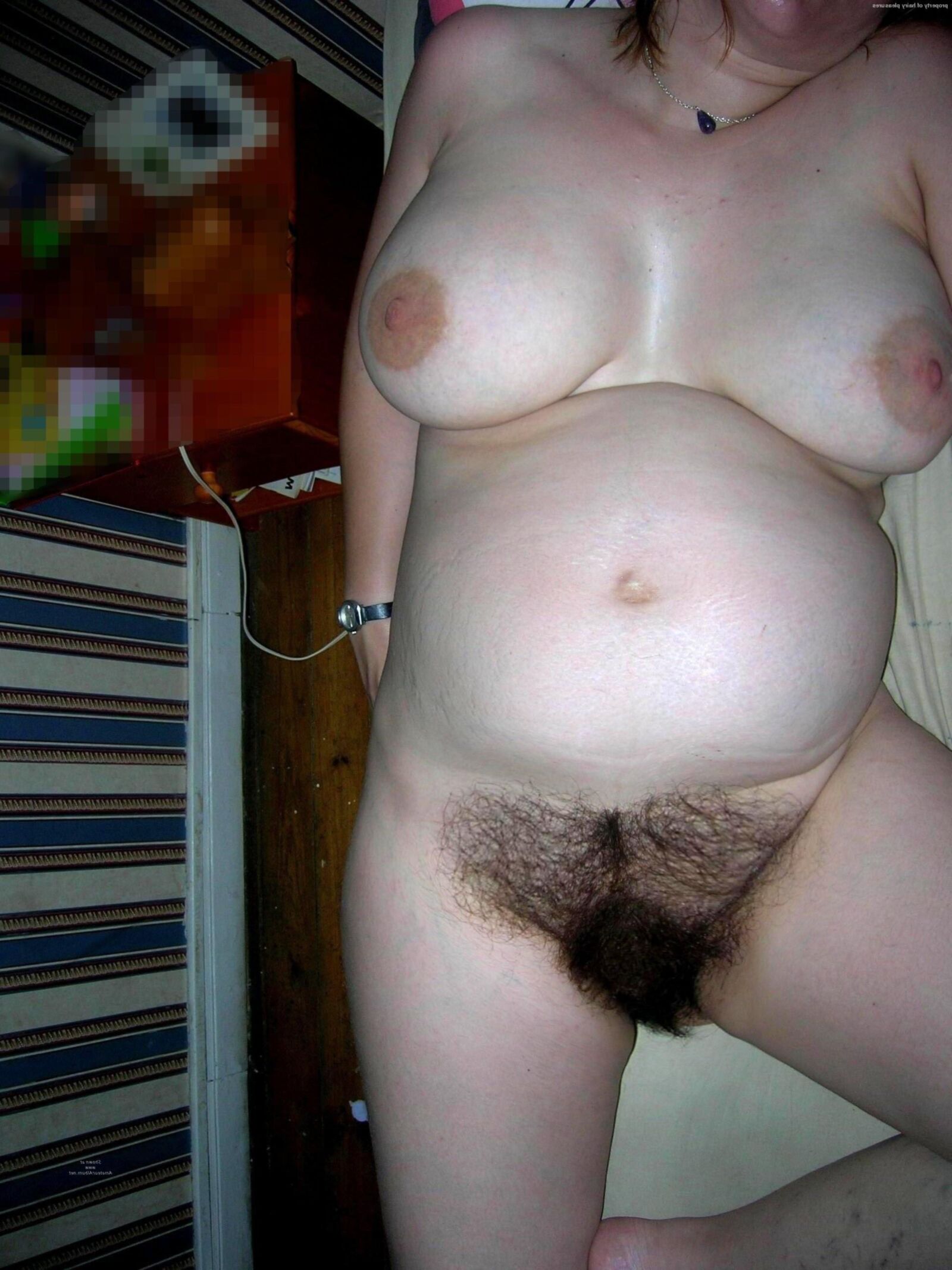 hairy pregnant beauties 