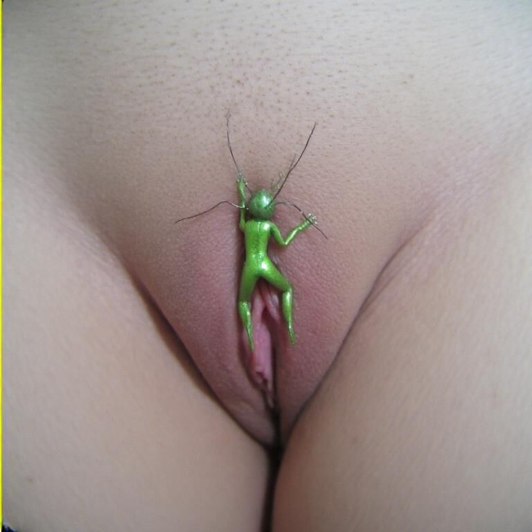 Closeup pussy