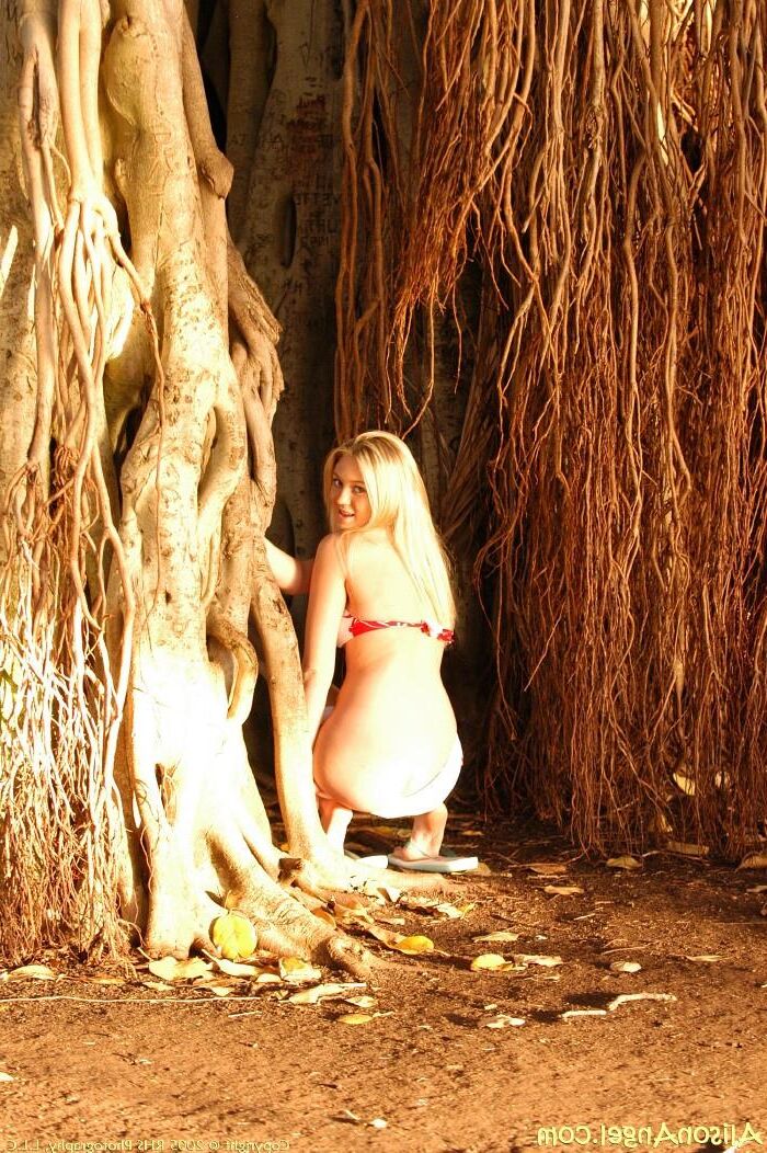 Alisonangel Alison en el paraíso tropical