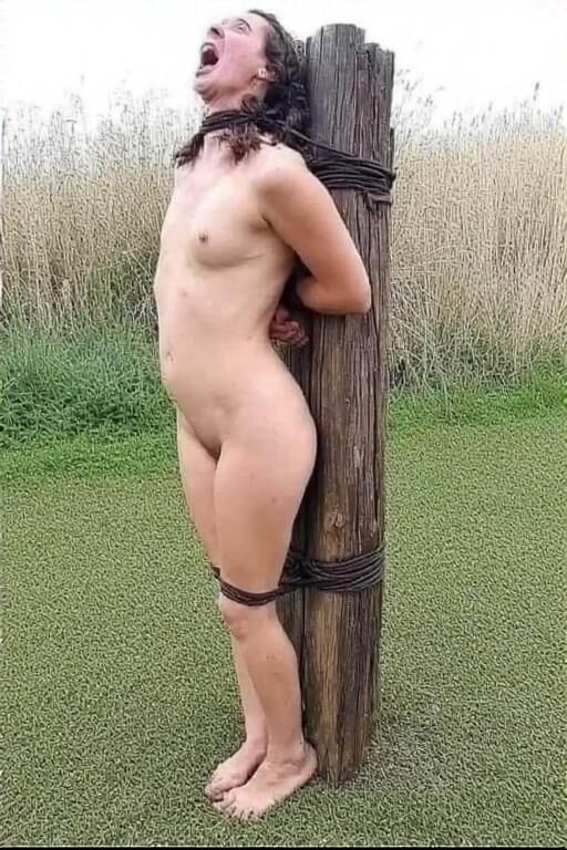 Medieval Woman Accused of Adultery