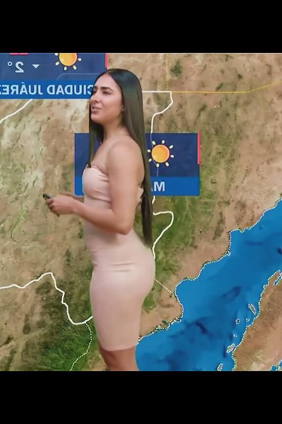 NALGOTAS LUCI 