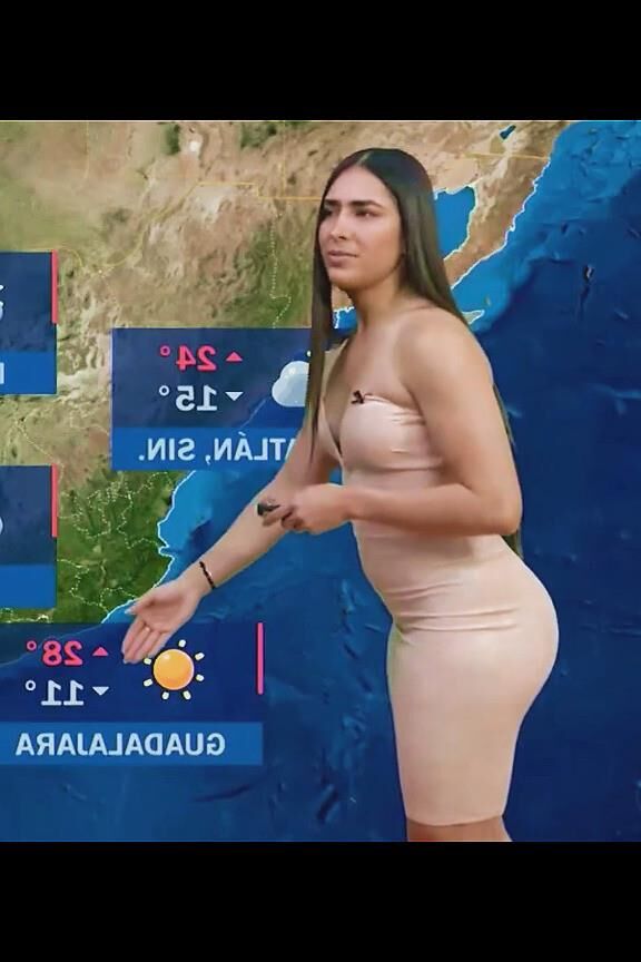 NALGOTAS LUCI 