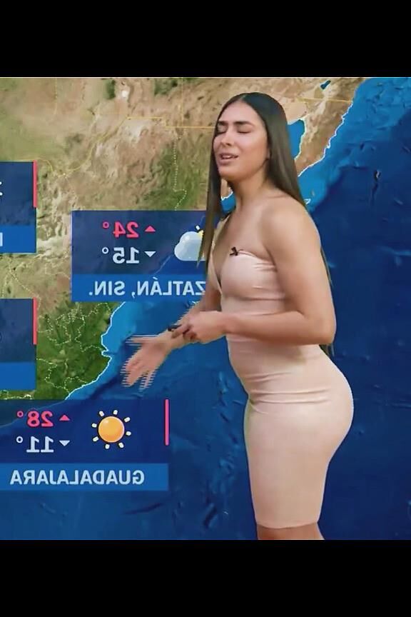 NALGOTAS LUCI 