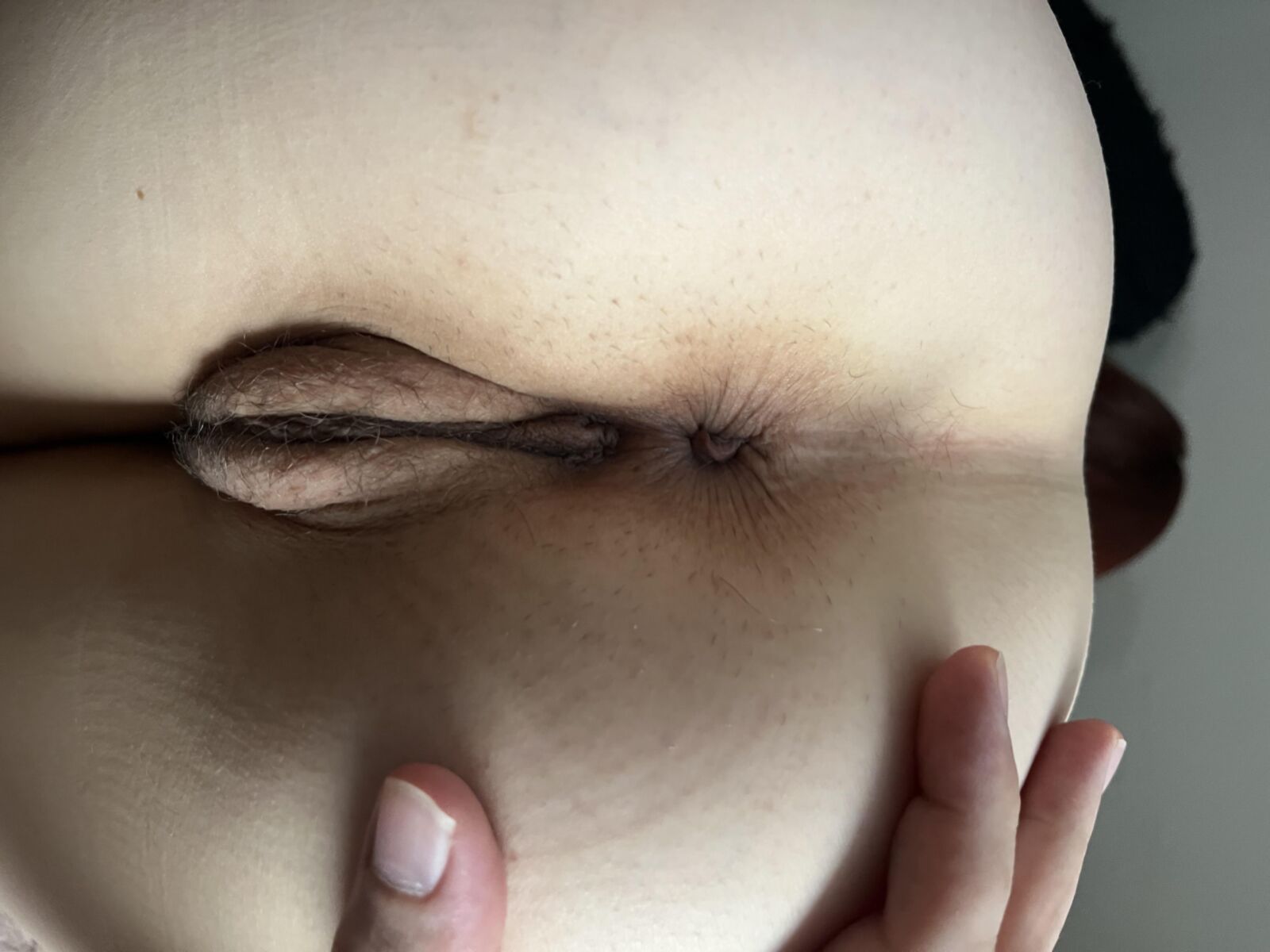 Housewife Butthole Today (July st )