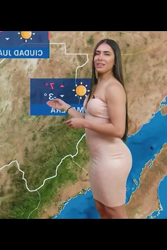 NALGOTAS LUCI 