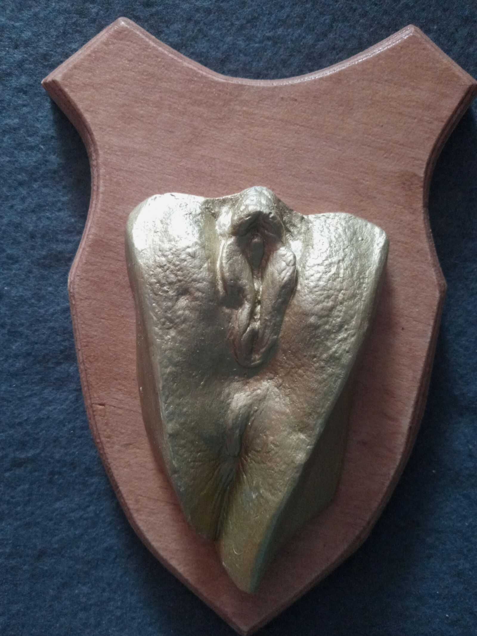 Die Vagina en Jungen Jahren als gipsabdruck