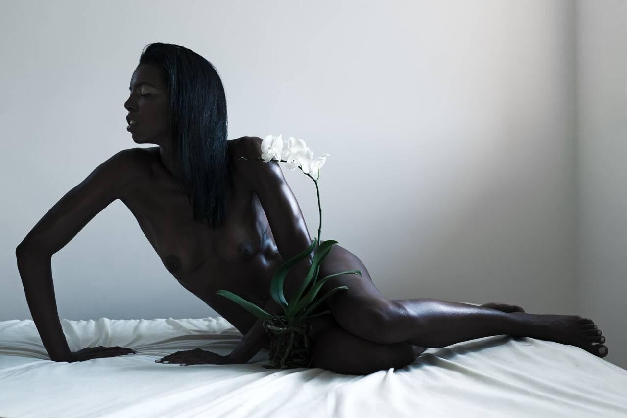 El negro es la perfección