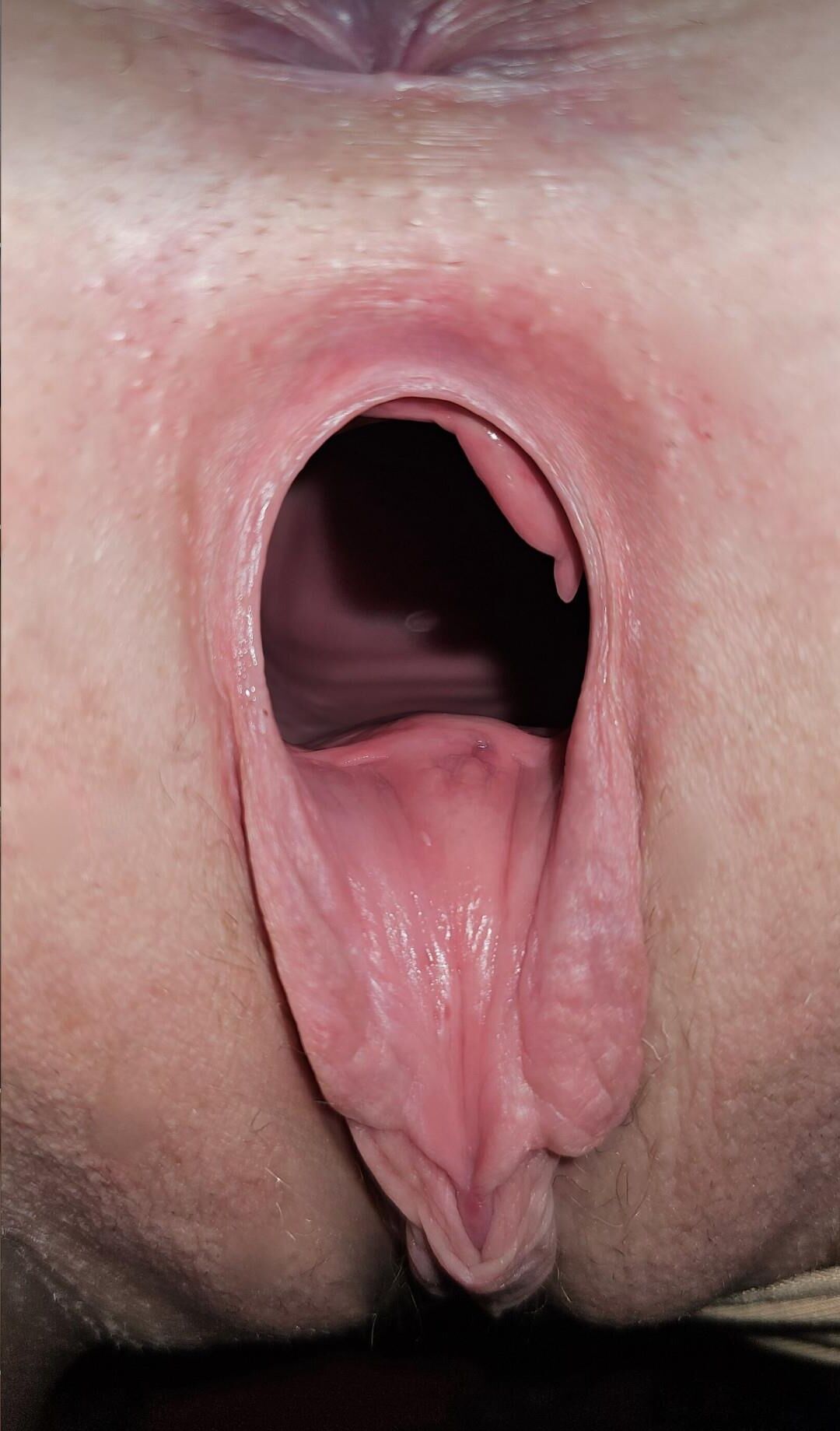Coño bitando rubio milf escarlette