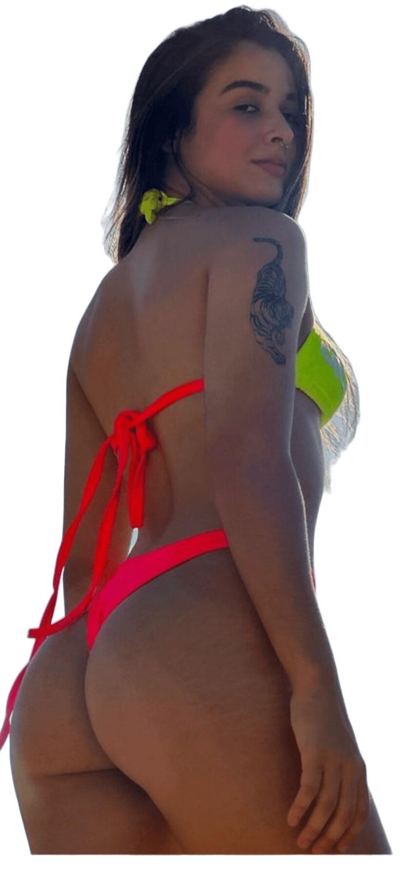 Adesivos de bunda grande e fofa e fofos