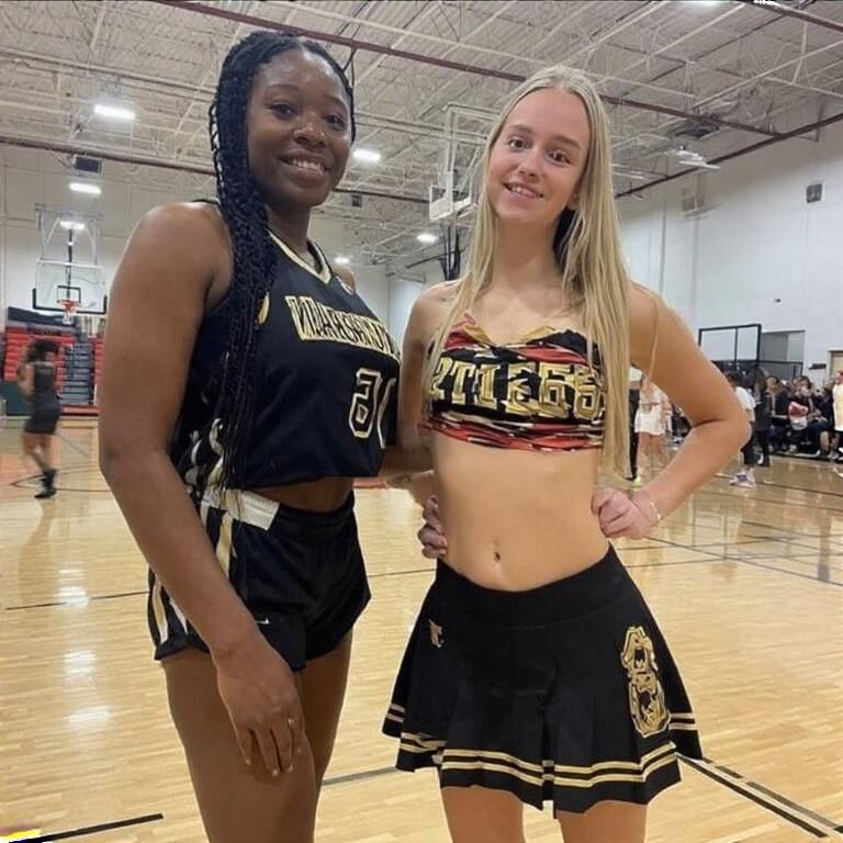 The WNBA......it's Fan tastic (AI)