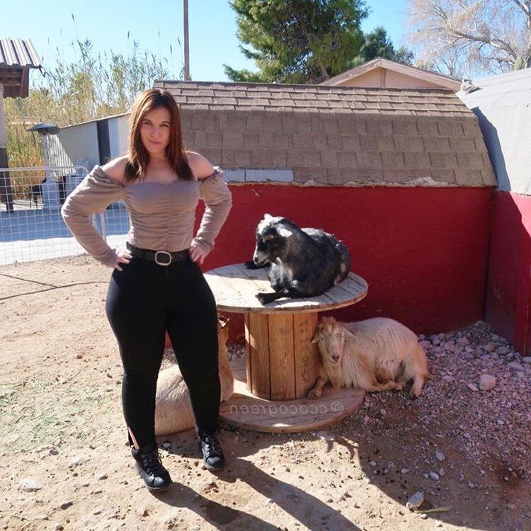 CCOCOGELEN GREEN BIG ASS PAWG grosso